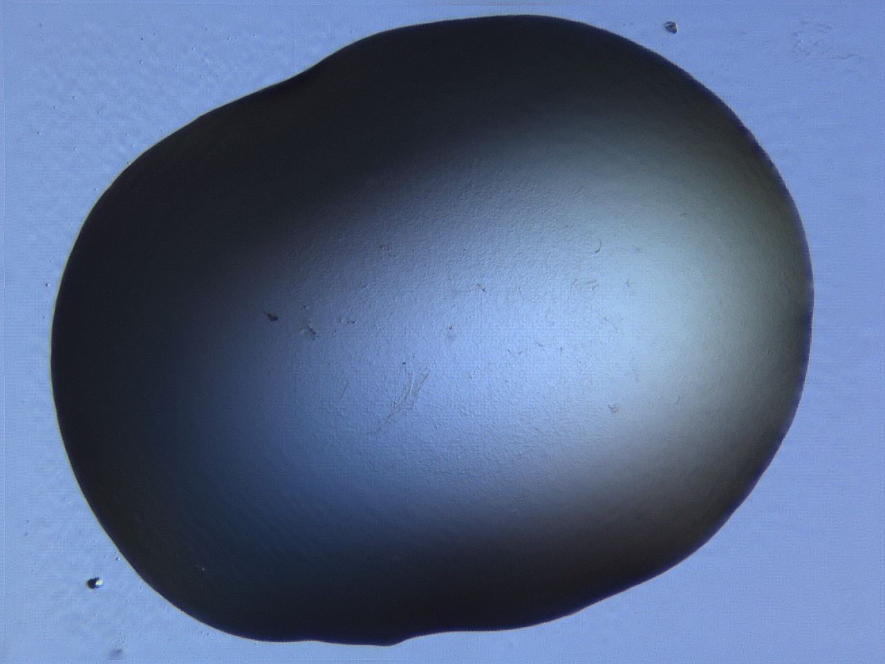 0636_B6_ImagerDefaults_0.jpg