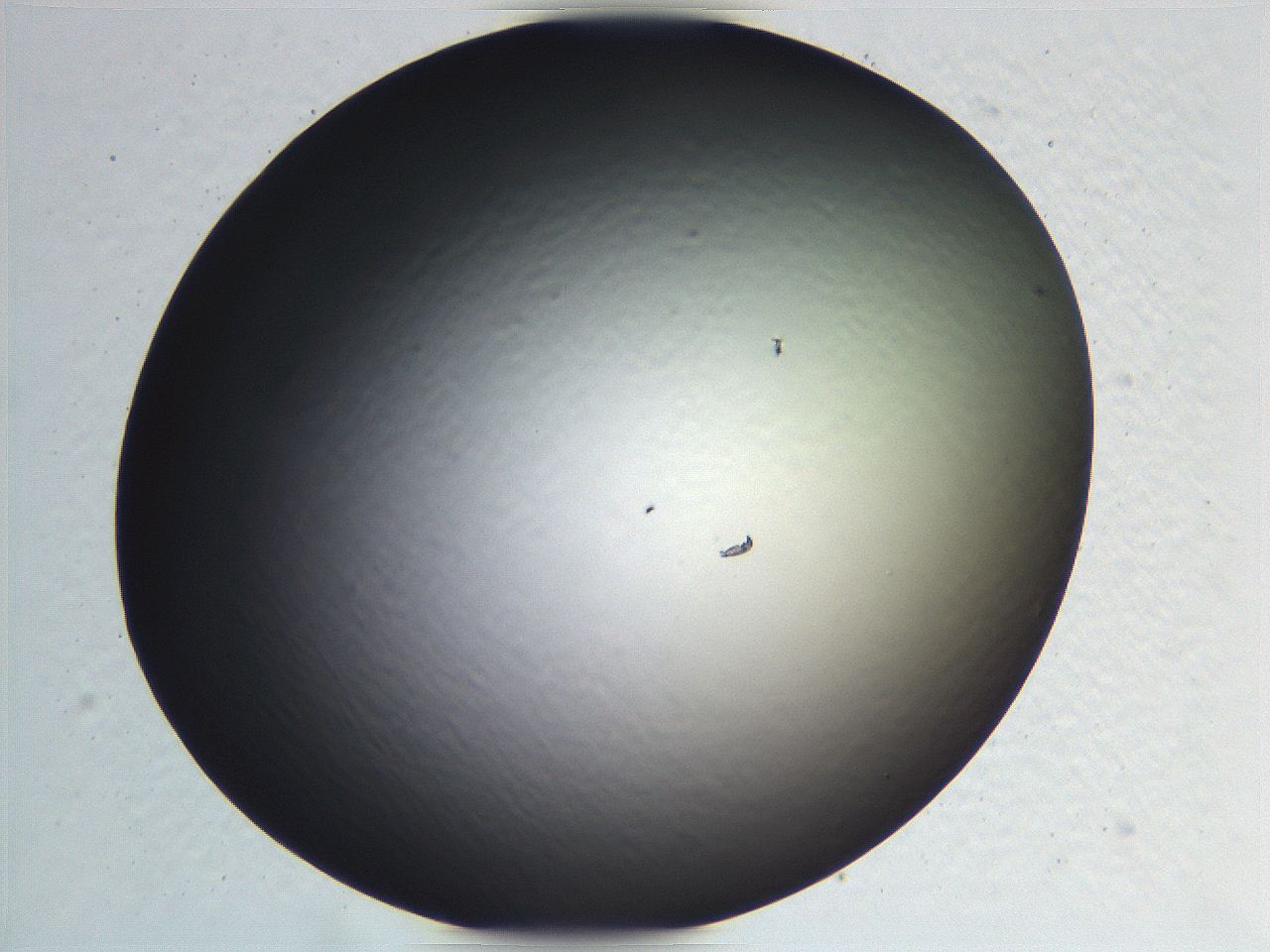 0636_B9_ImagerDefaults_0.jpg