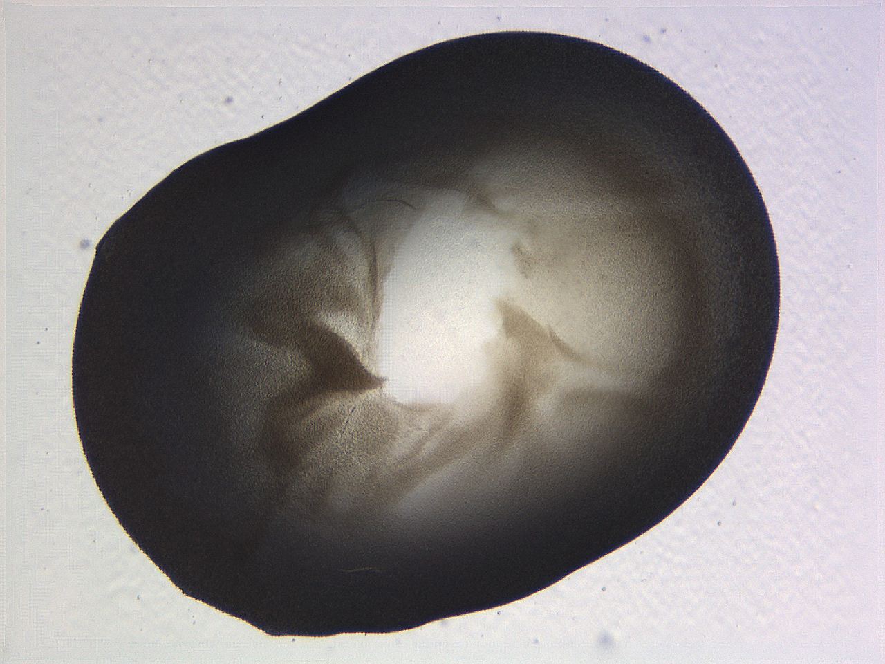 0636_B10_ImagerDefaults_3.jpg