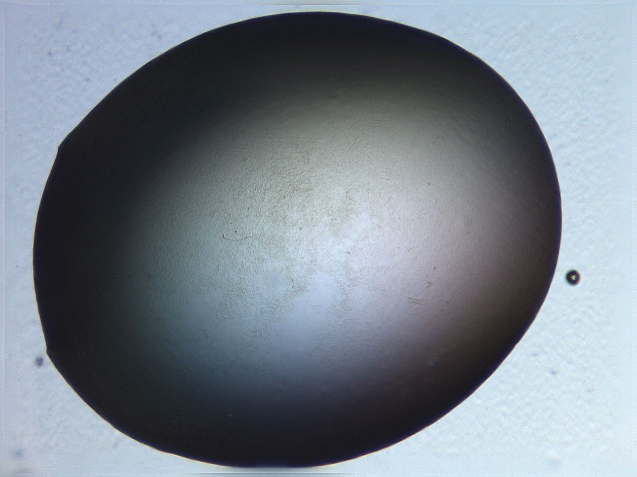0636_B11_ImagerDefaults_0.jpg