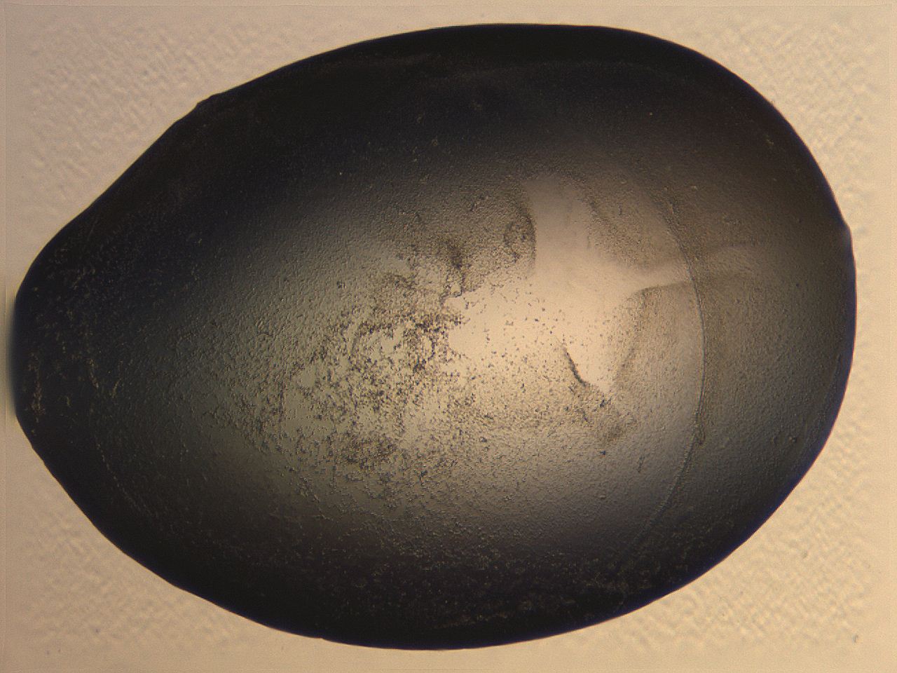 0636_B12_ImagerDefaults_3.jpg