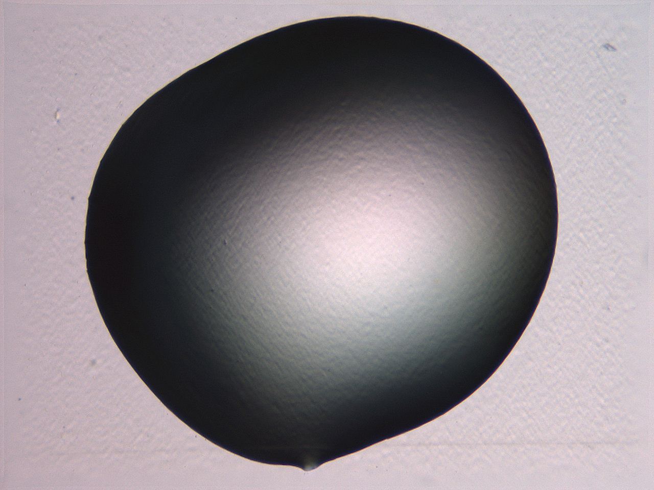 0636_C2_ImagerDefaults_0.jpg