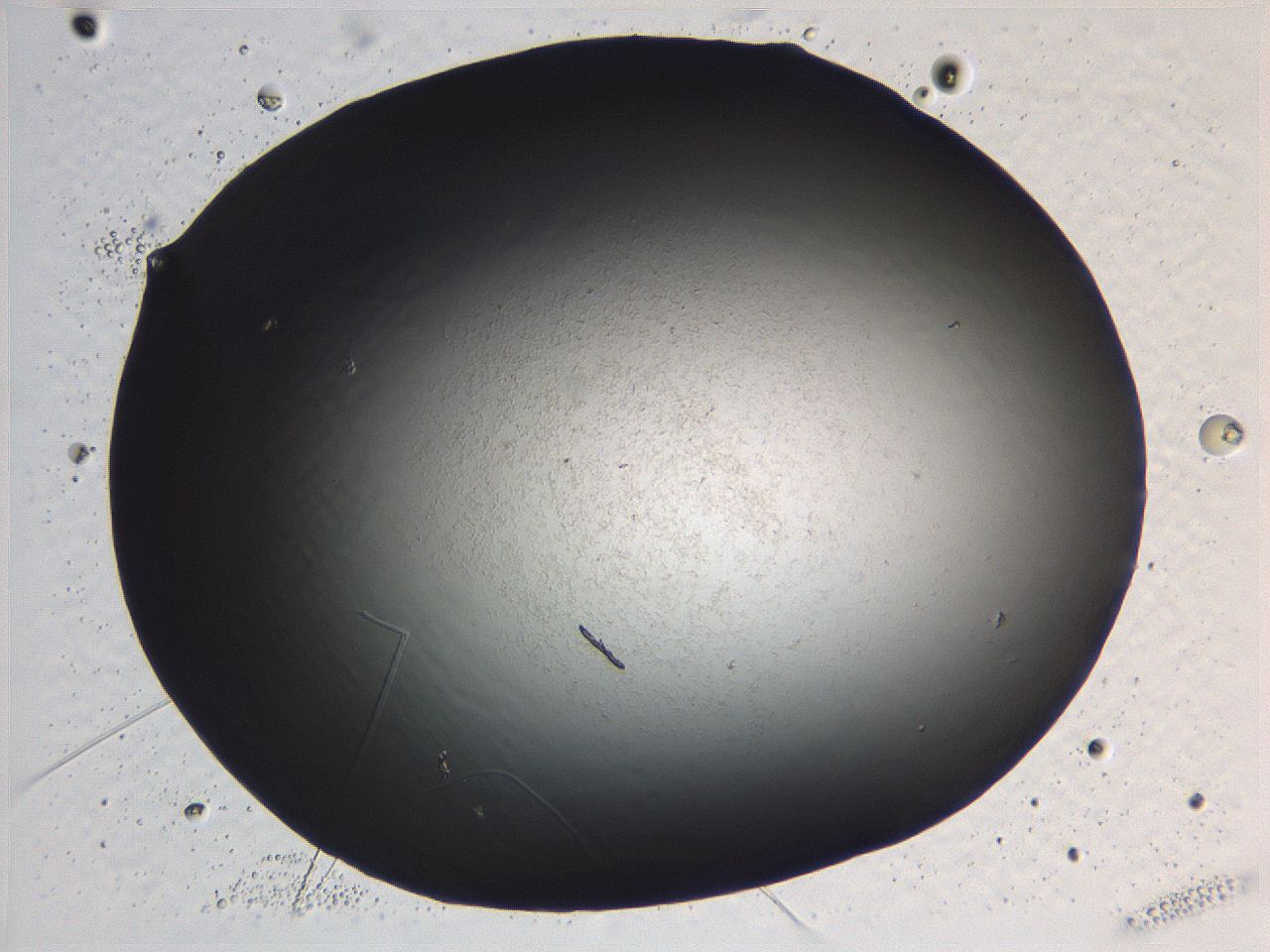 0636_C5_ImagerDefaults_0.jpg