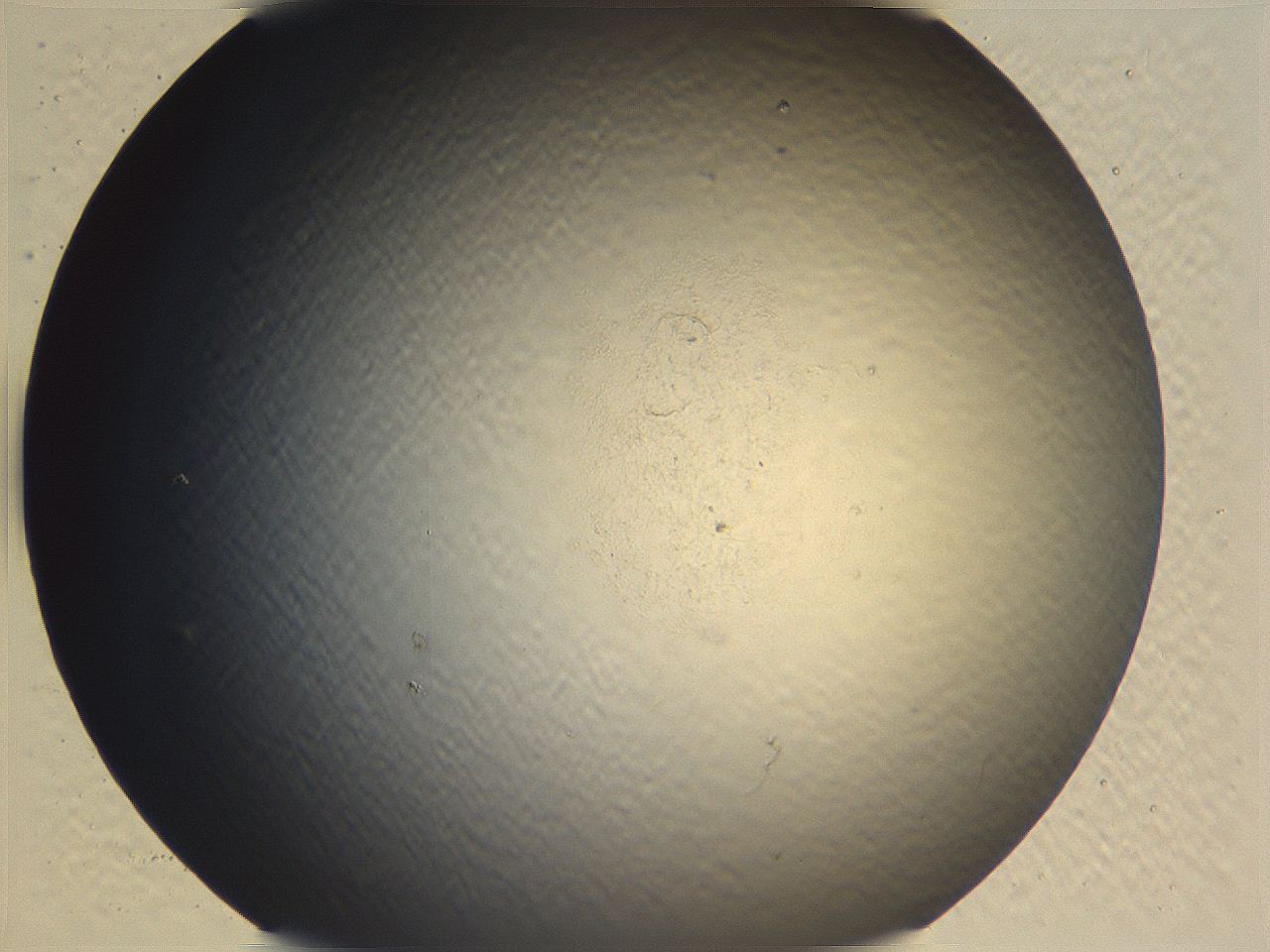 0636_C6_ImagerDefaults_0.jpg