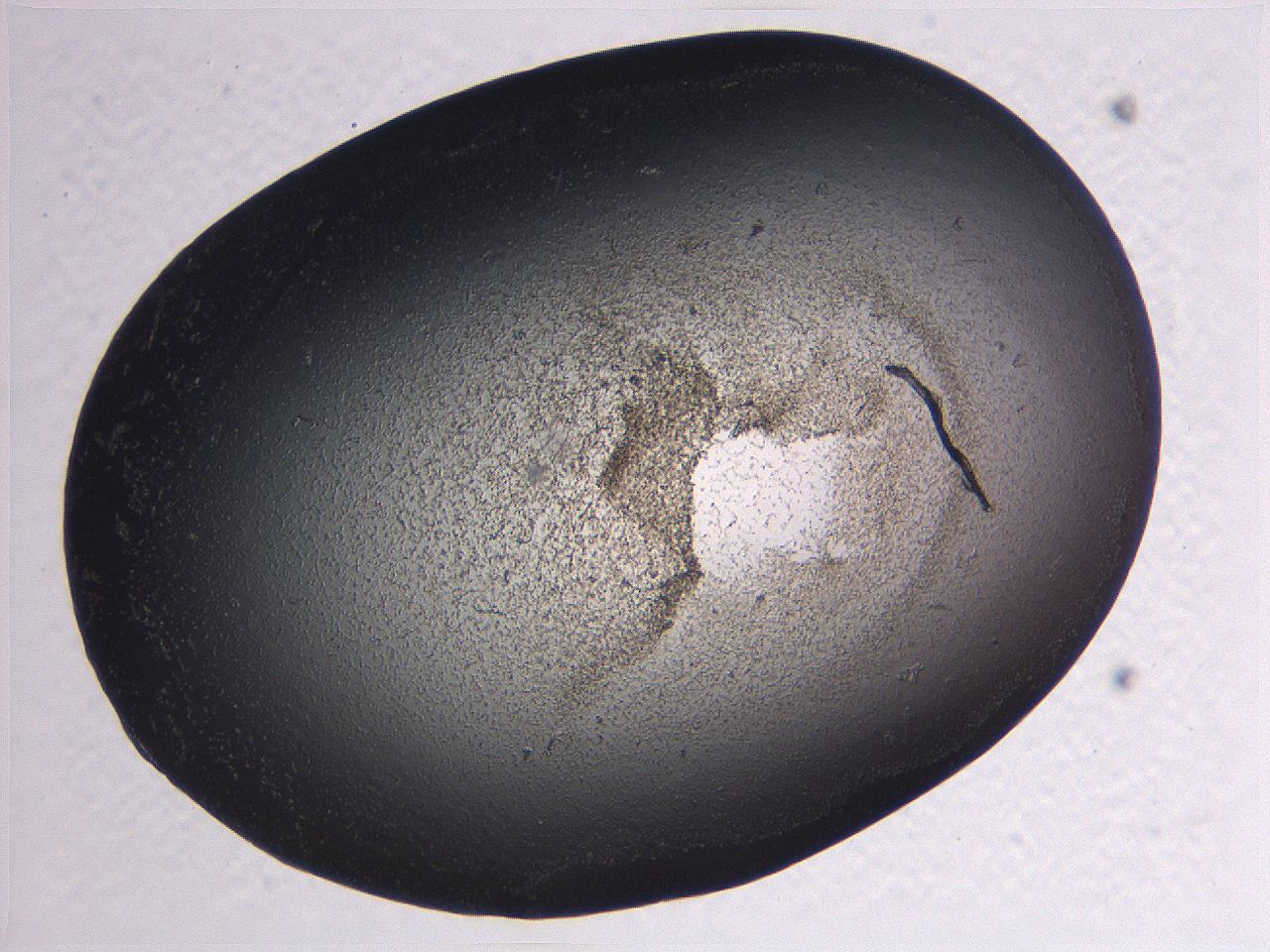 0636_C9_ImagerDefaults_3.jpg