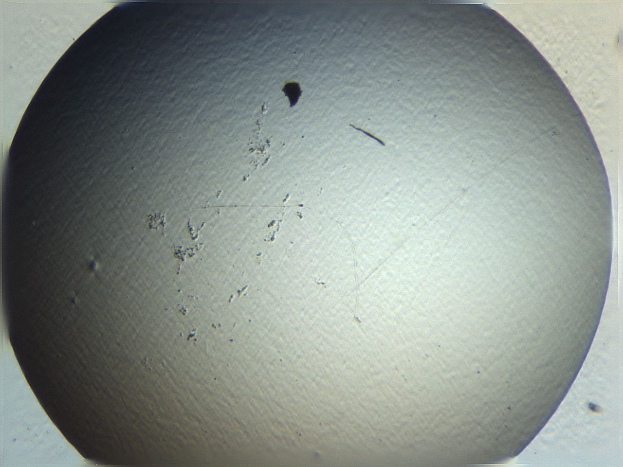 0636_C12_ImagerDefaults_0.jpg