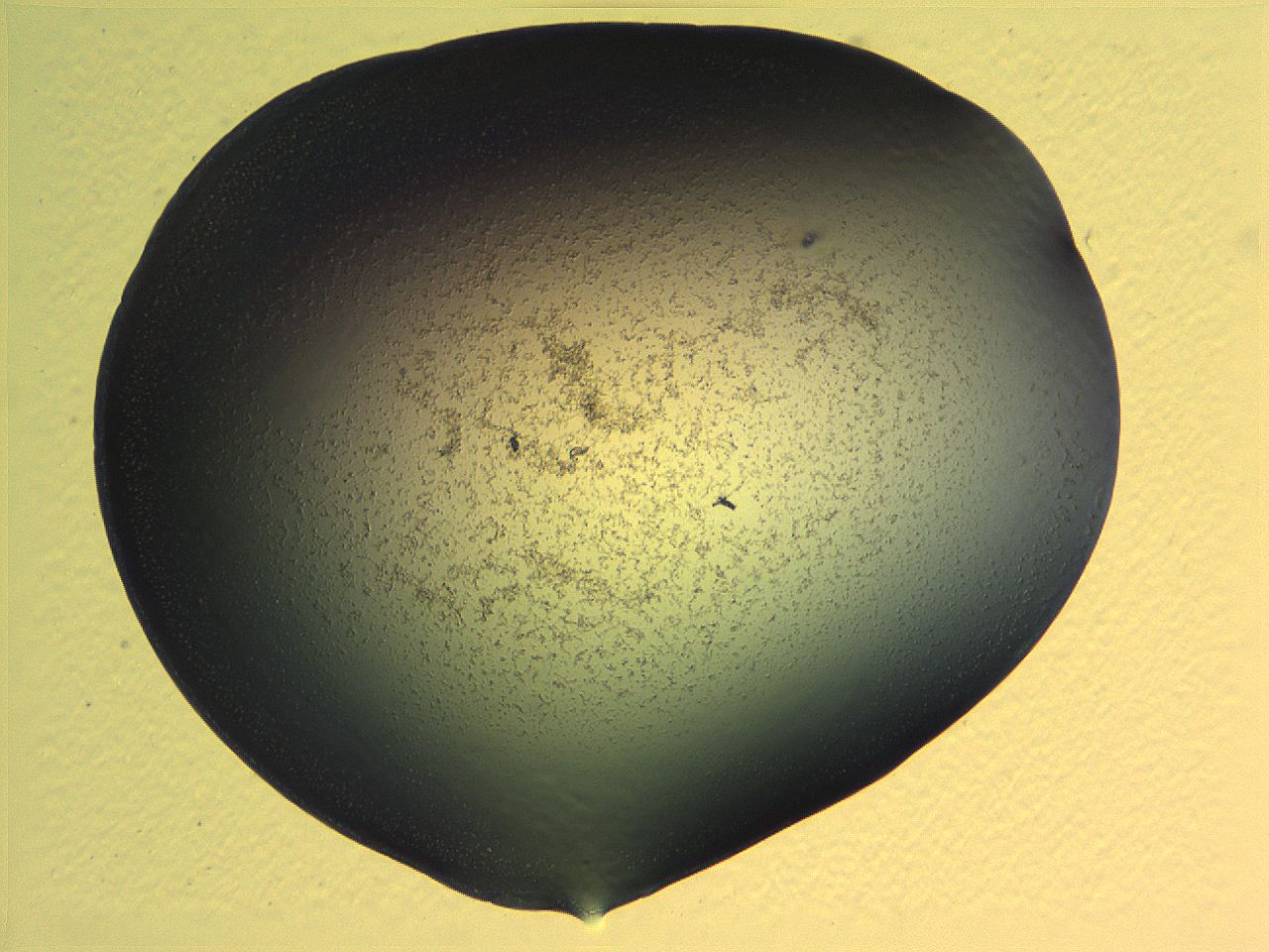 0636_D1_ImagerDefaults_3.jpg