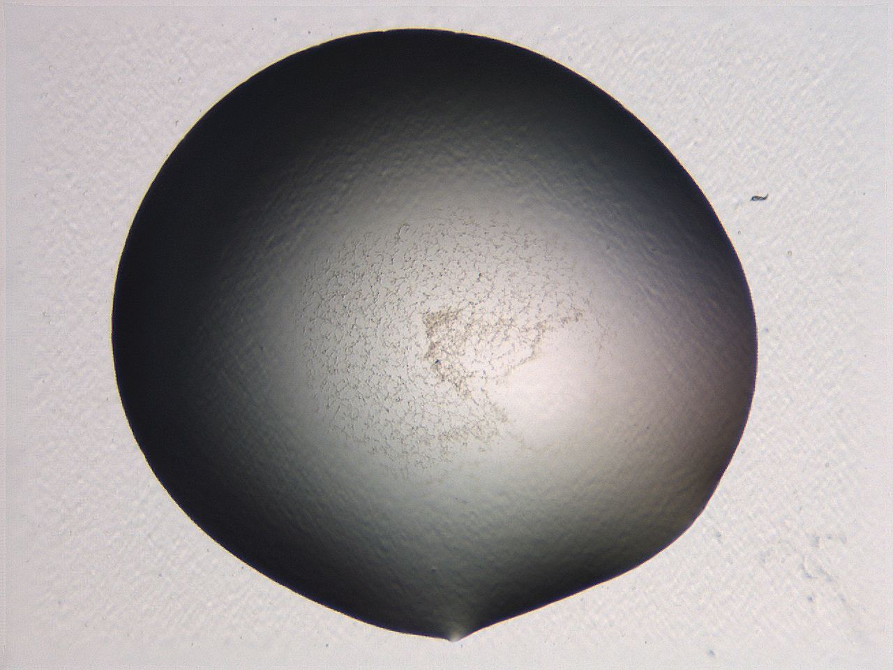 0636_D2_ImagerDefaults_3.jpg