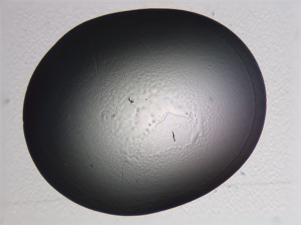 0636_D3_ImagerDefaults_2.jpg