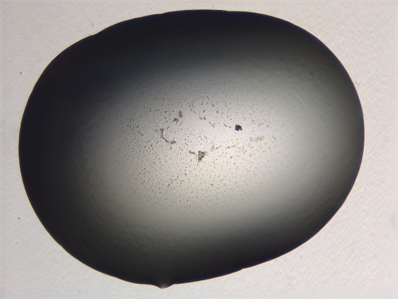 0636_D5_ImagerDefaults_3.jpg