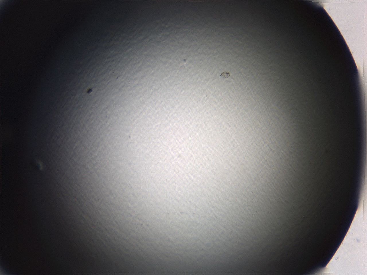 0636_D6_ImagerDefaults_0.jpg