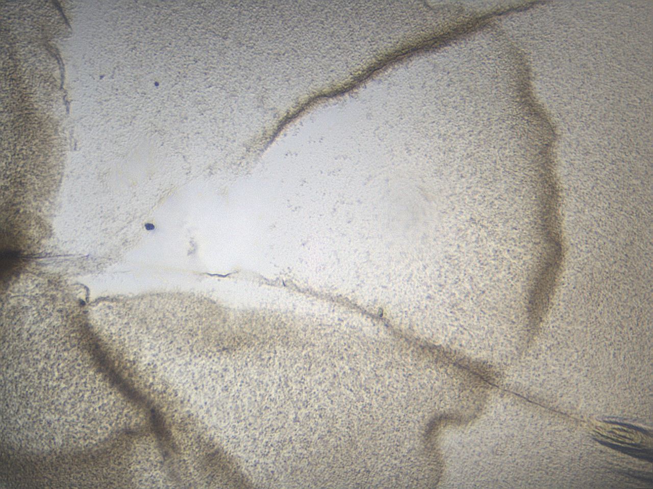 0636_D7_ImagerDefaults_3.jpg