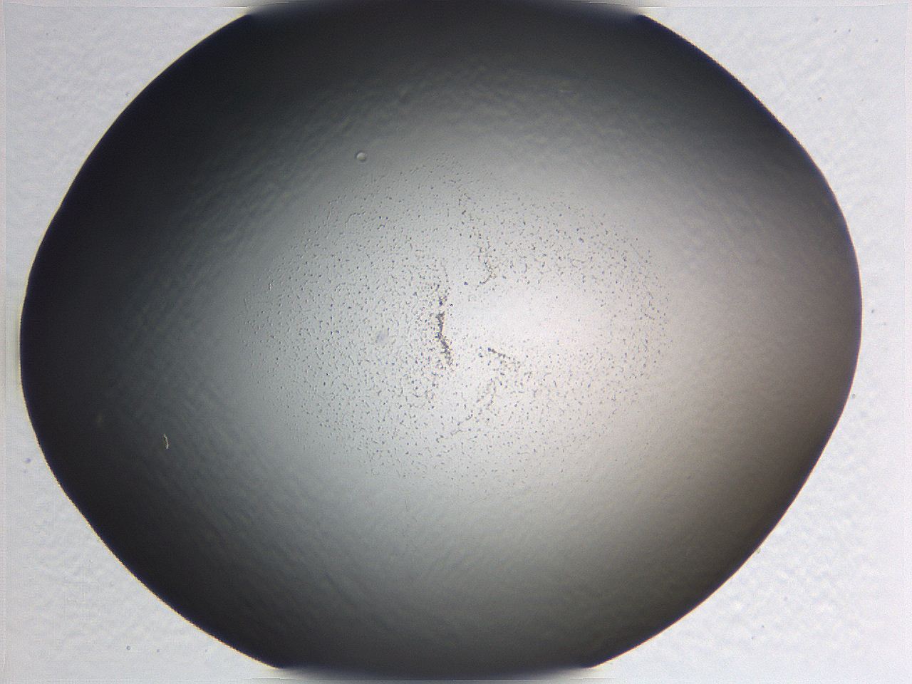 0636_D8_ImagerDefaults_0.jpg