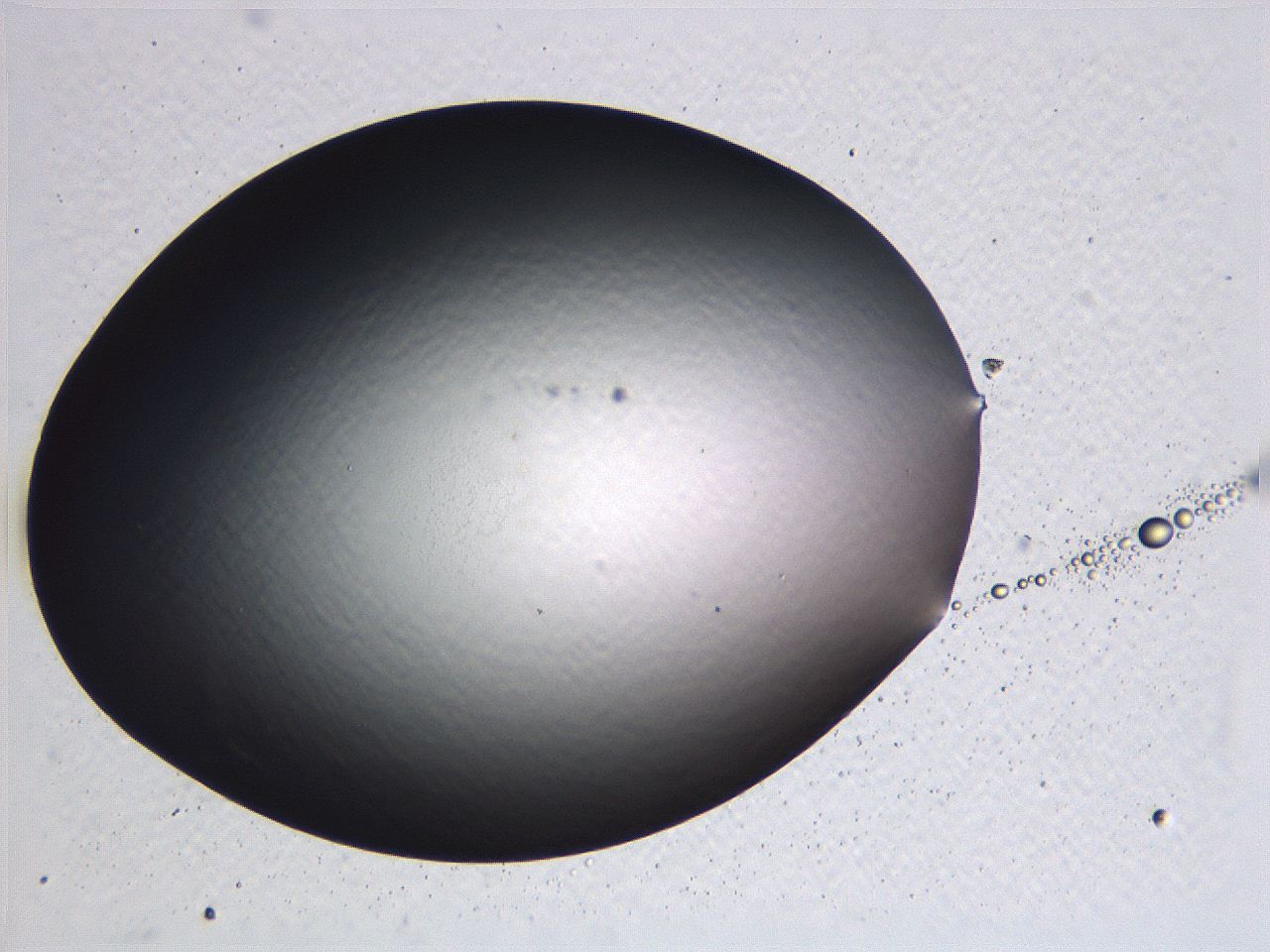 0636_D9_ImagerDefaults_0.jpg