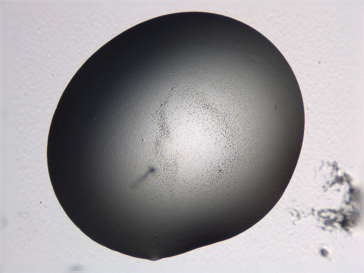 0636_D10_ImagerDefaults_3.jpg