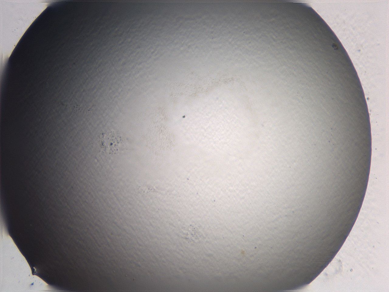 0636_D11_ImagerDefaults_0.jpg