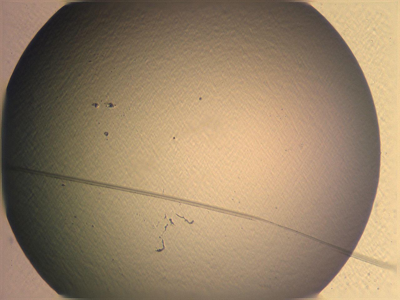 0636_D12_ImagerDefaults_0.jpg