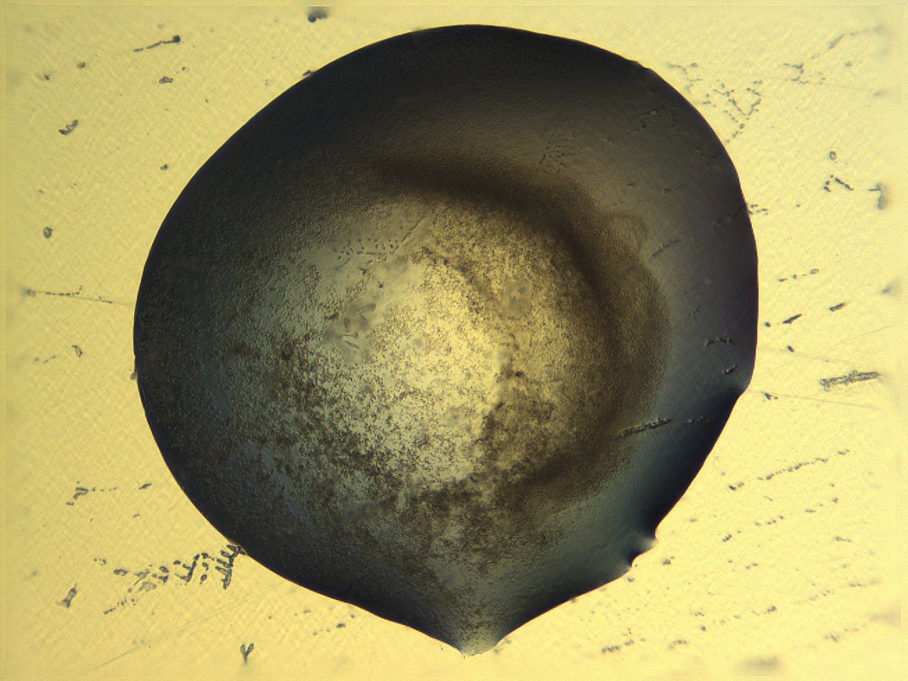 0636_E1_ImagerDefaults_3.jpg