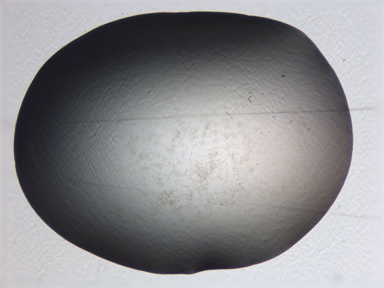 0636_E2_ImagerDefaults_0.jpg