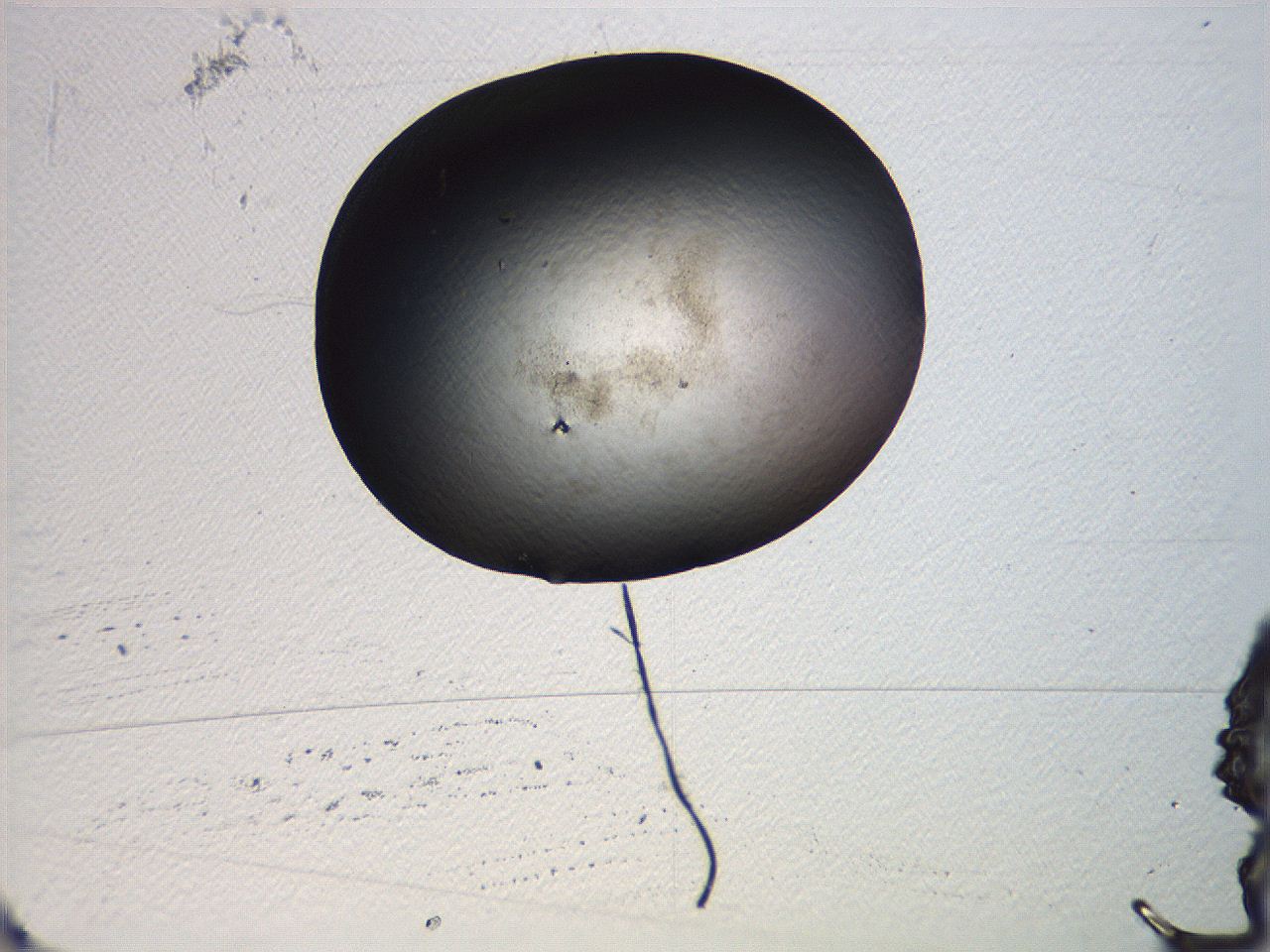 0636_E3_ImagerDefaults_3.jpg