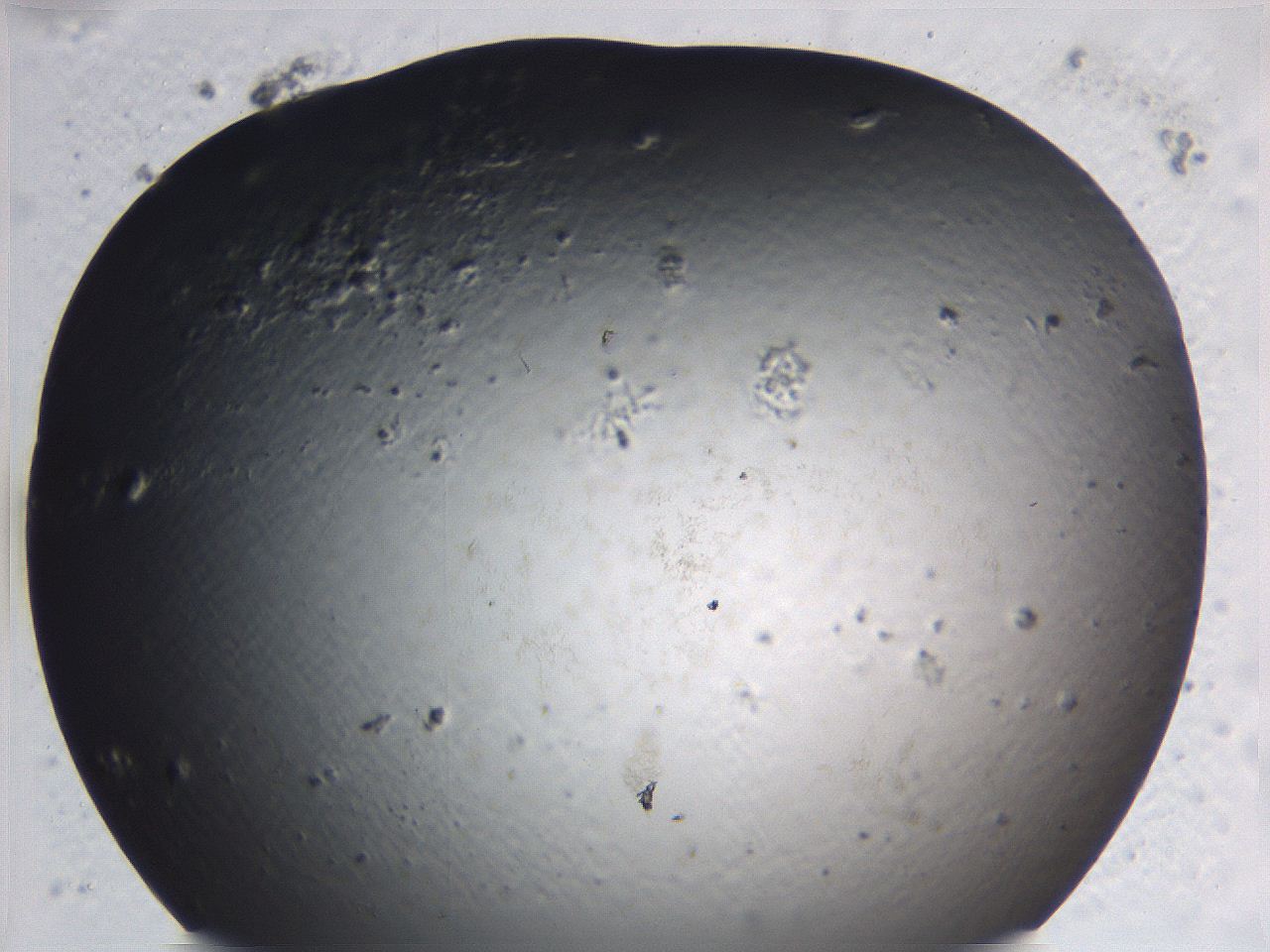 0636_E4_ImagerDefaults_0.jpg