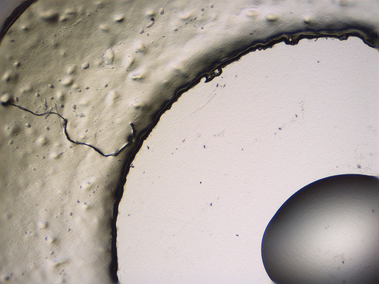 0636_E5_ImagerDefaults_0.jpg