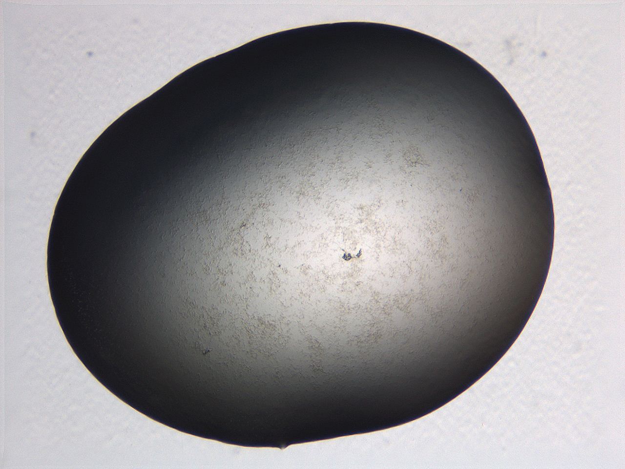0636_E6_ImagerDefaults_0.jpg