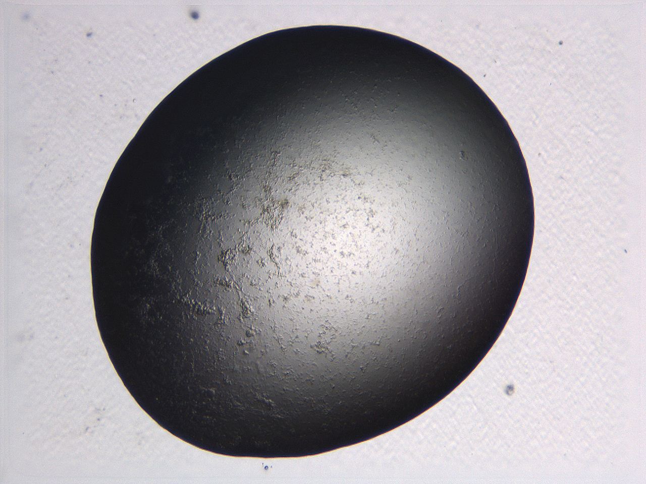 0636_E11_ImagerDefaults_3.jpg
