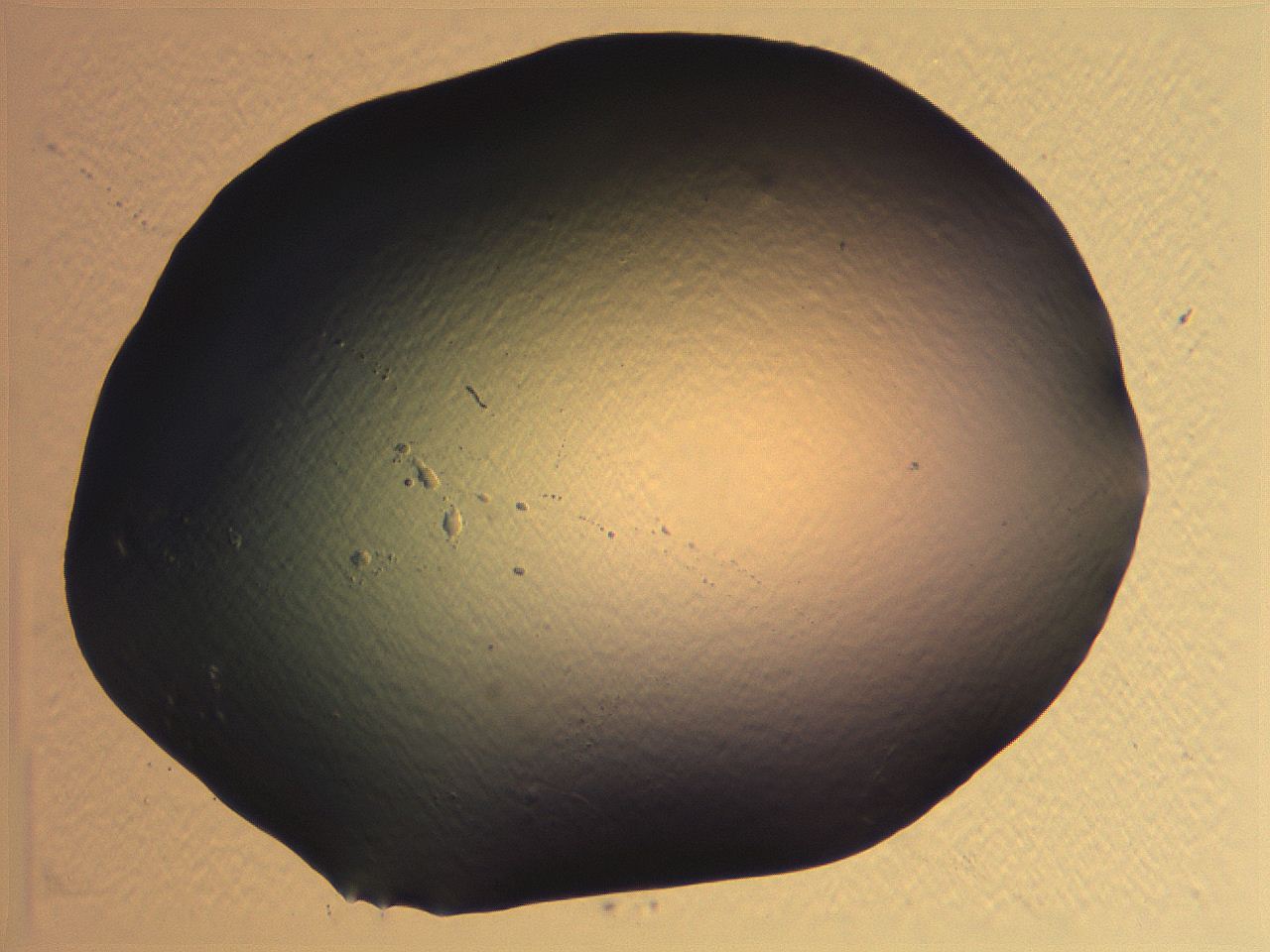 0636_E12_ImagerDefaults_0.jpg