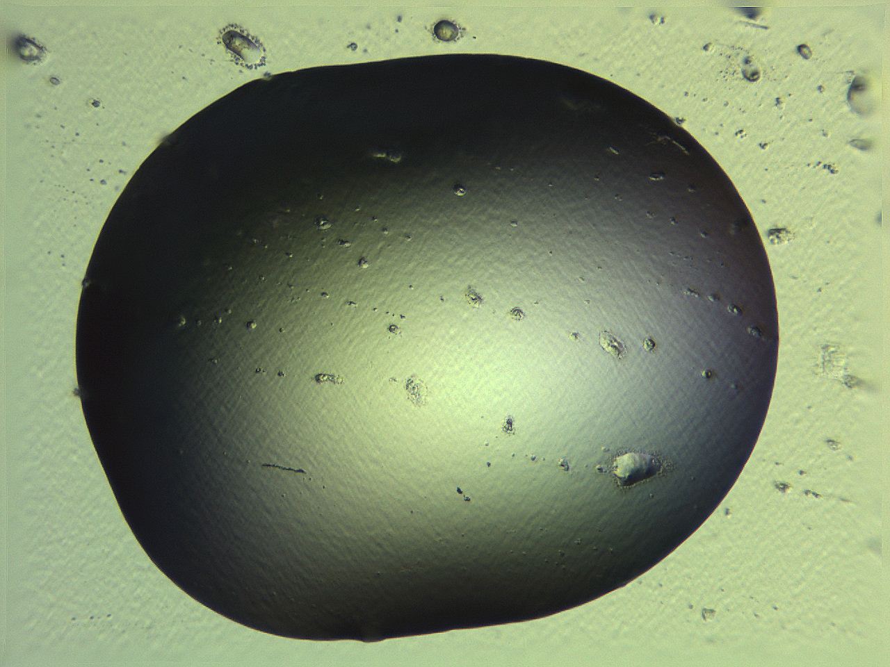 0636_F1_ImagerDefaults_0.jpg
