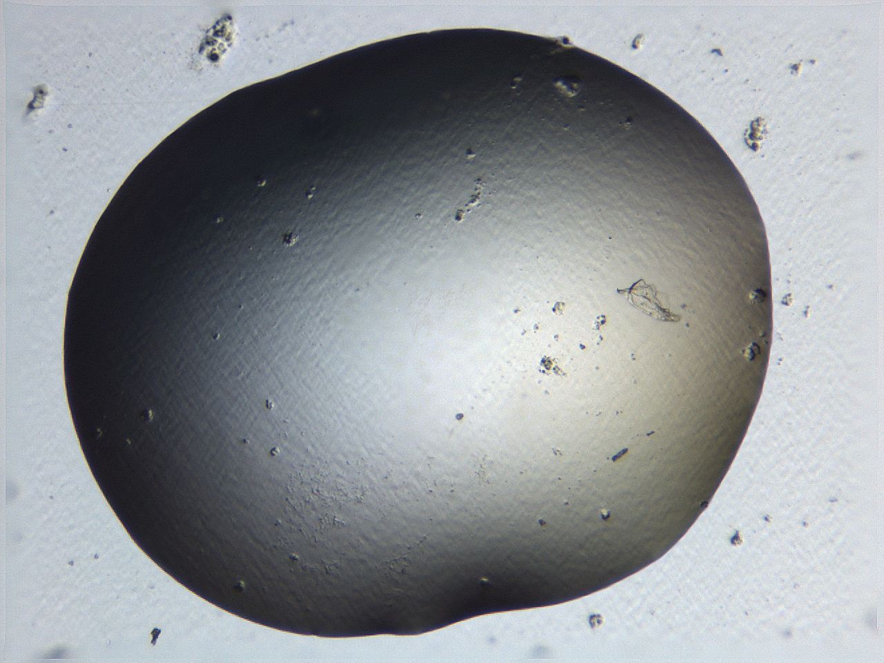 0636_F2_ImagerDefaults_0.jpg