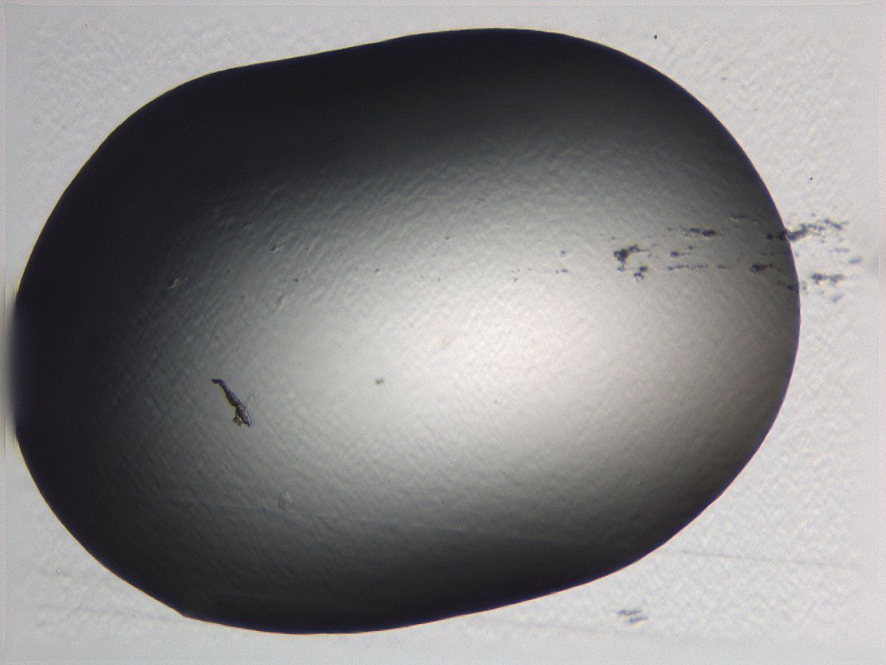 0636_F5_ImagerDefaults_0.jpg