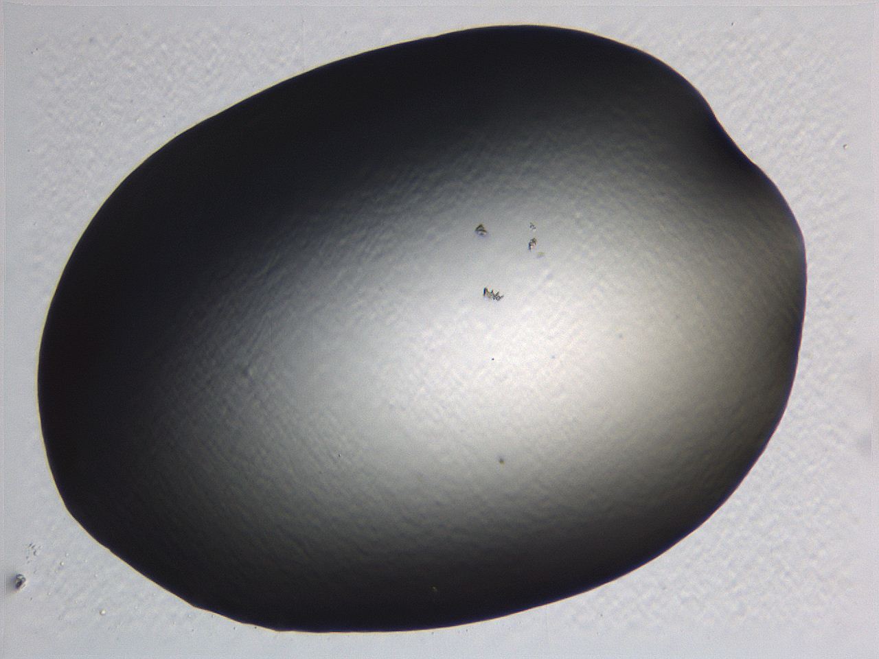 0636_F6_ImagerDefaults_0.jpg