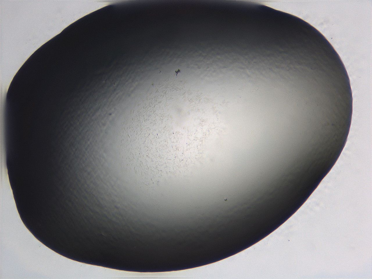 0636_F7_ImagerDefaults_0.jpg