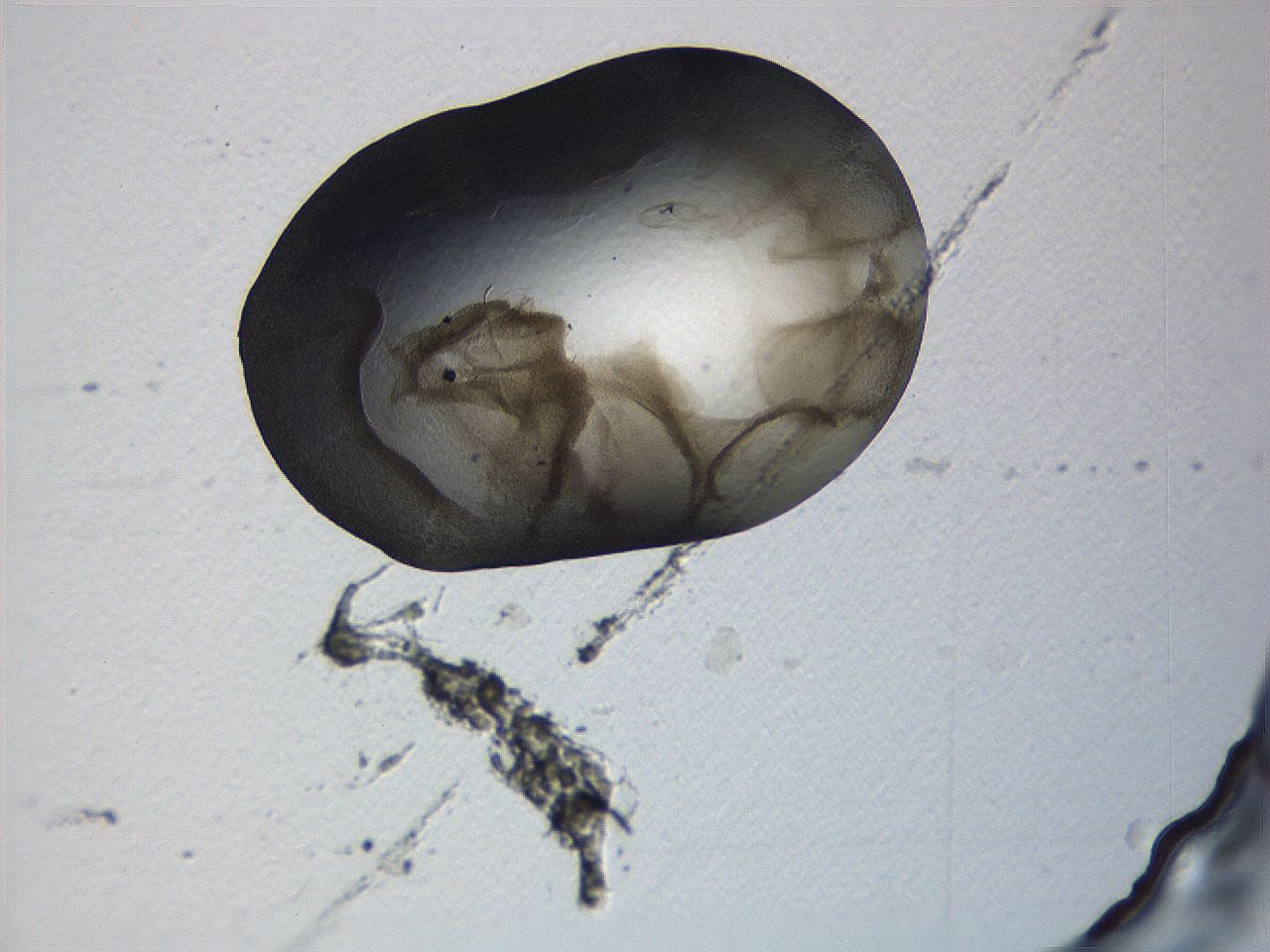 0636_F8_ImagerDefaults_3.jpg