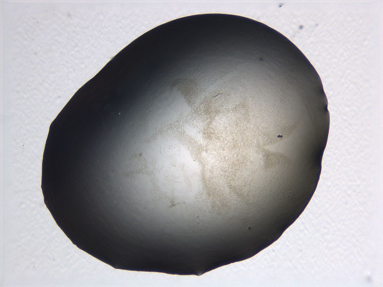 0636_F9_ImagerDefaults_3.jpg