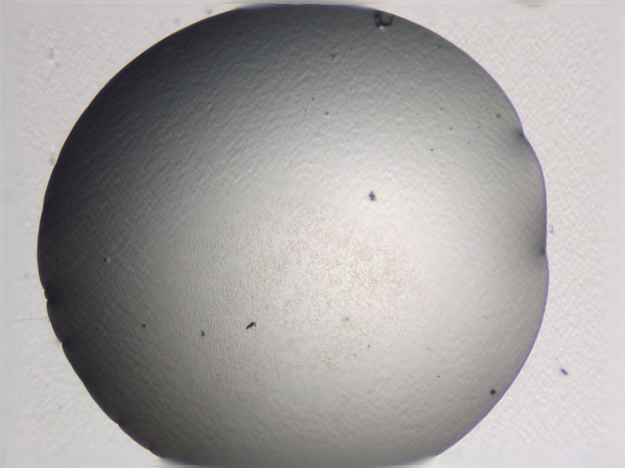0636_F11_ImagerDefaults_0.jpg