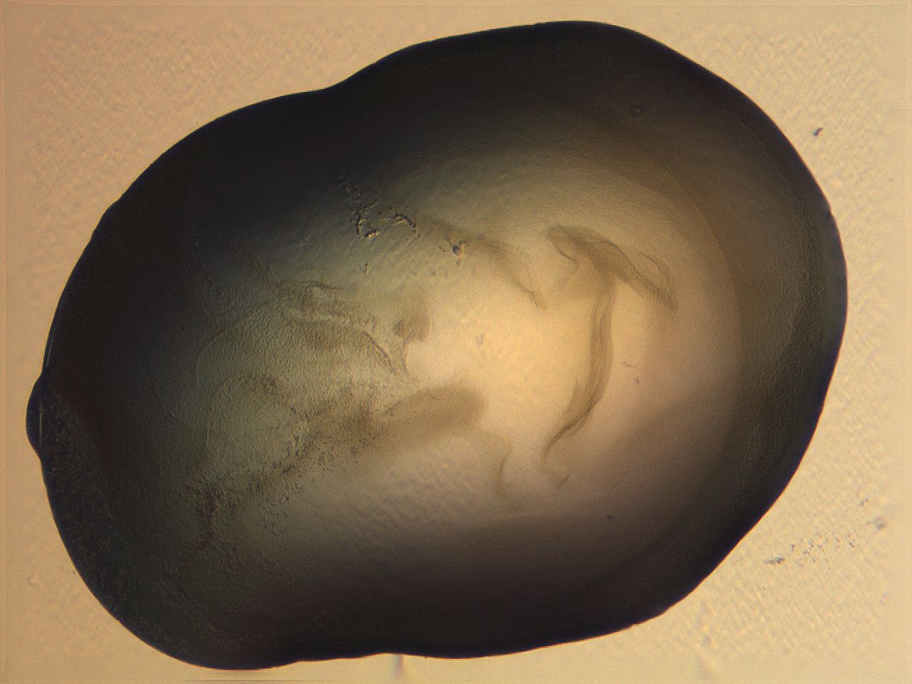 0636_F12_ImagerDefaults_3.jpg
