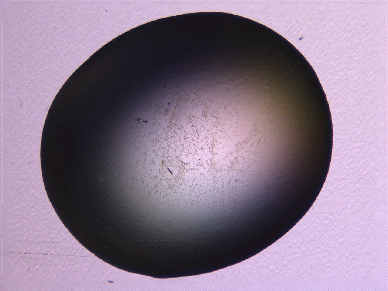0636_G1_ImagerDefaults_3.jpg