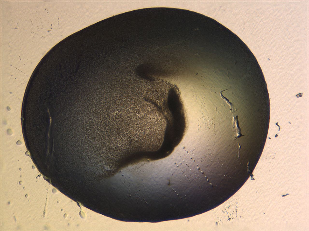 0636_H1_ImagerDefaults_3.jpg