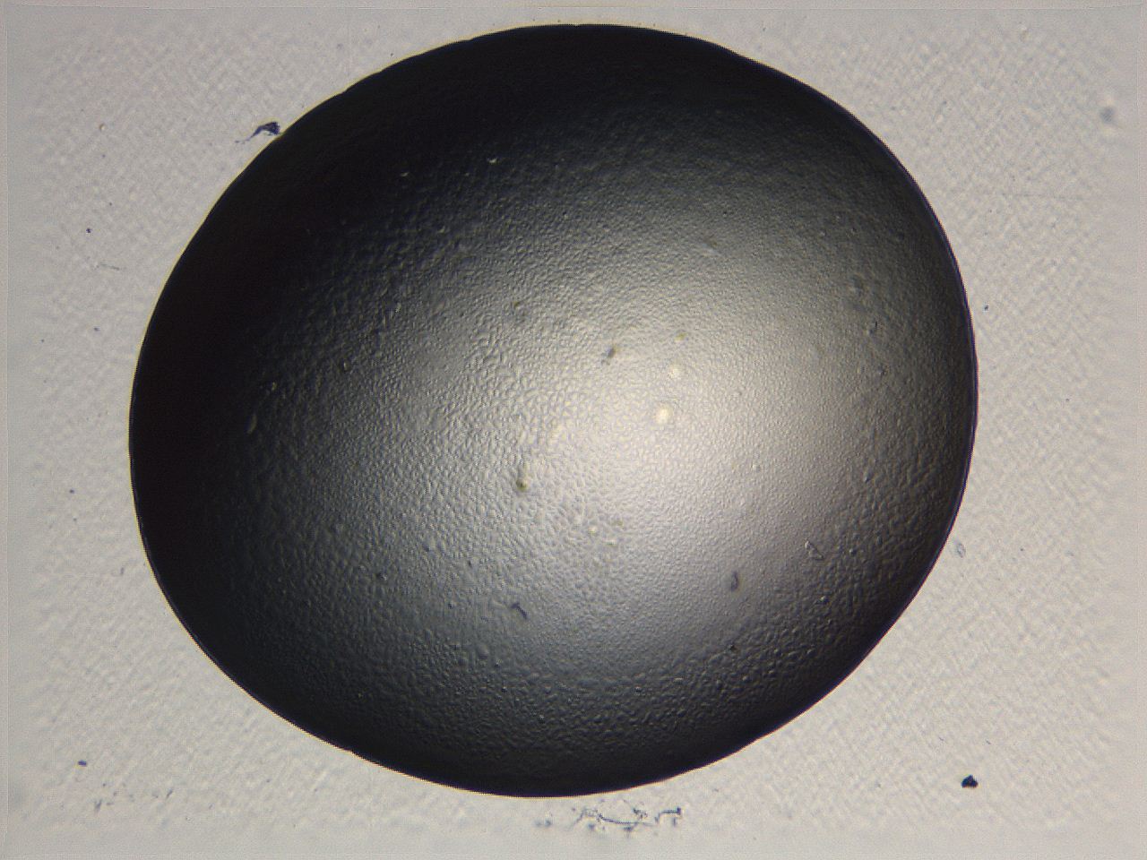 0636_H3_ImagerDefaults_2.jpg