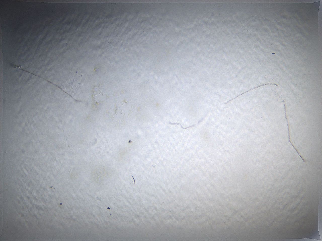 0636_H5_ImagerDefaults_0.jpg