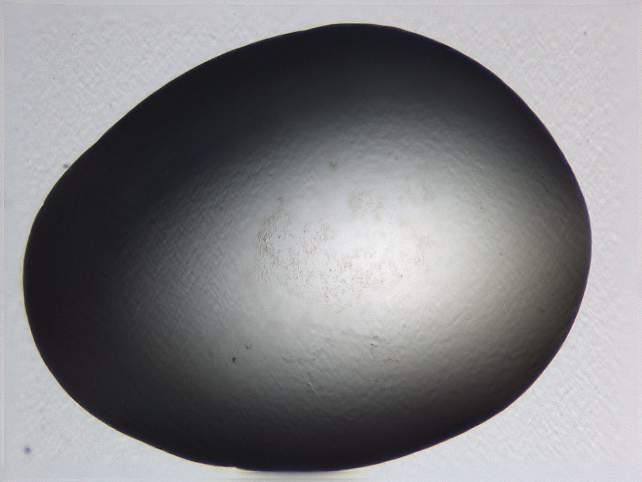 0636_H6_ImagerDefaults_0.jpg