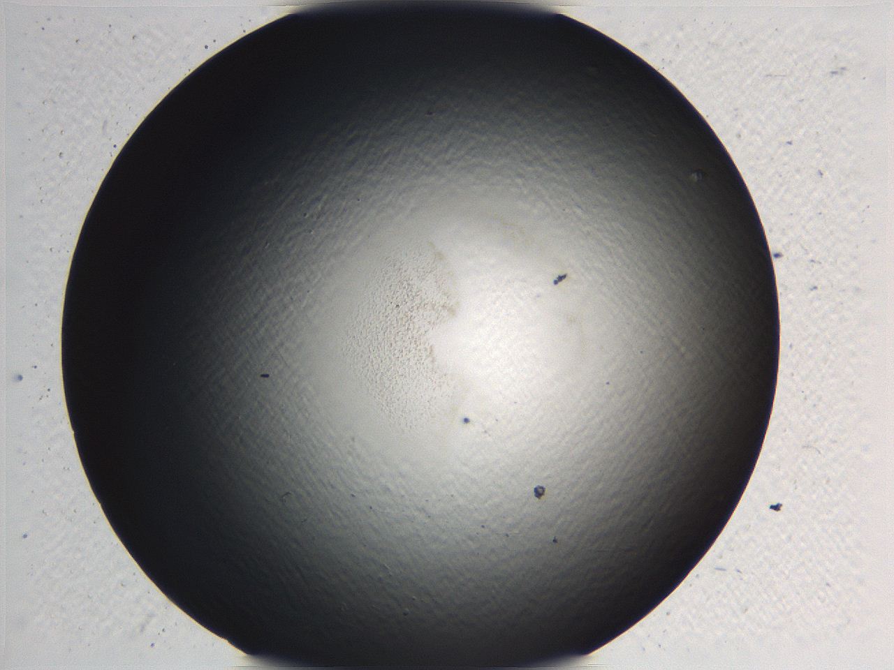 0636_H8_ImagerDefaults_0.jpg
