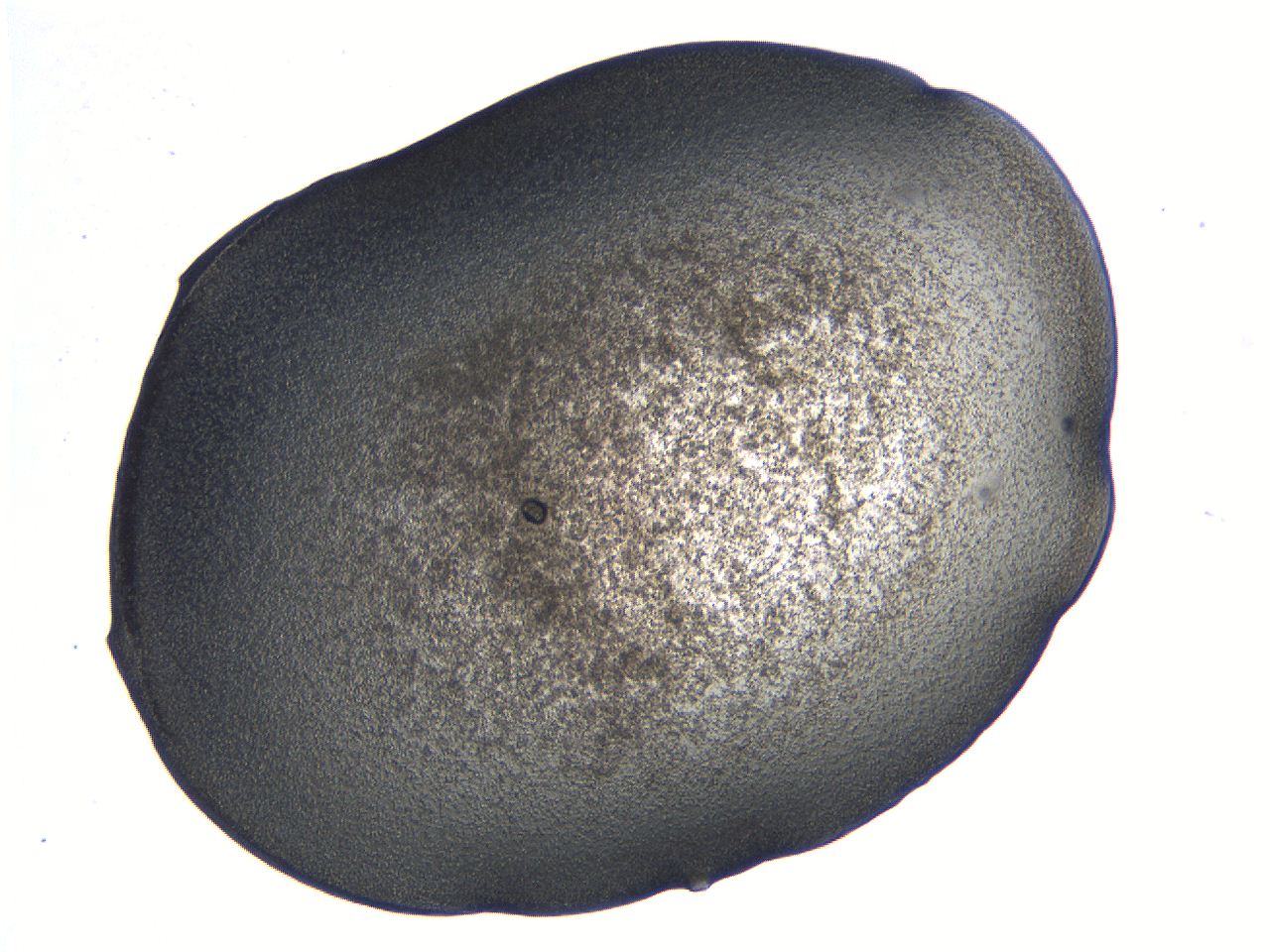 0636_H10_ImagerDefaults_3.jpg