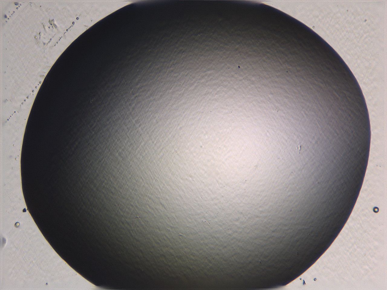 0636_H12_ImagerDefaults_0.jpg