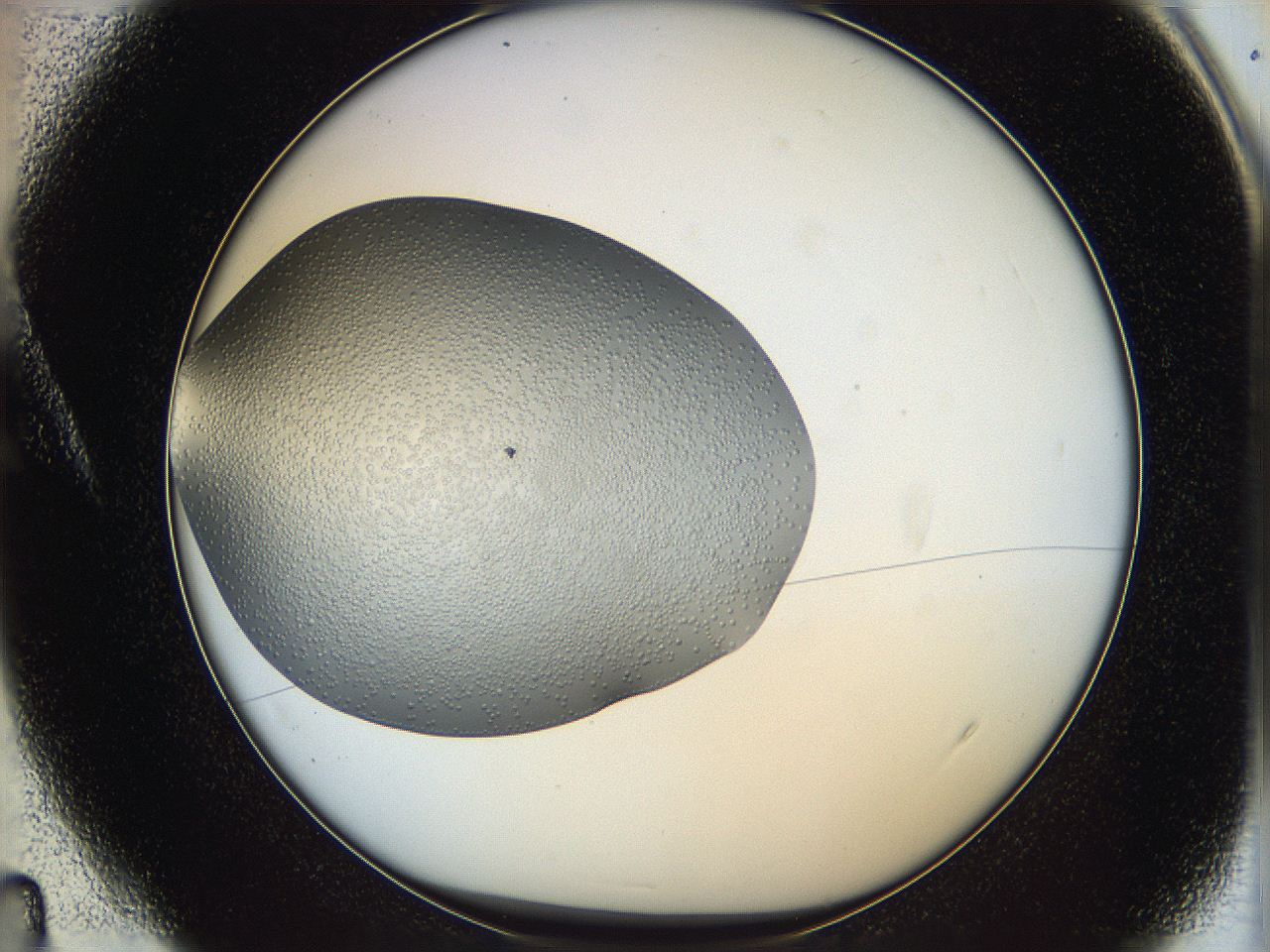 063a_A4_ImagerDefaults_6.jpg