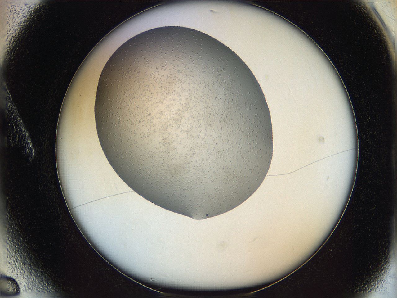 063a_A6_ImagerDefaults_6.jpg