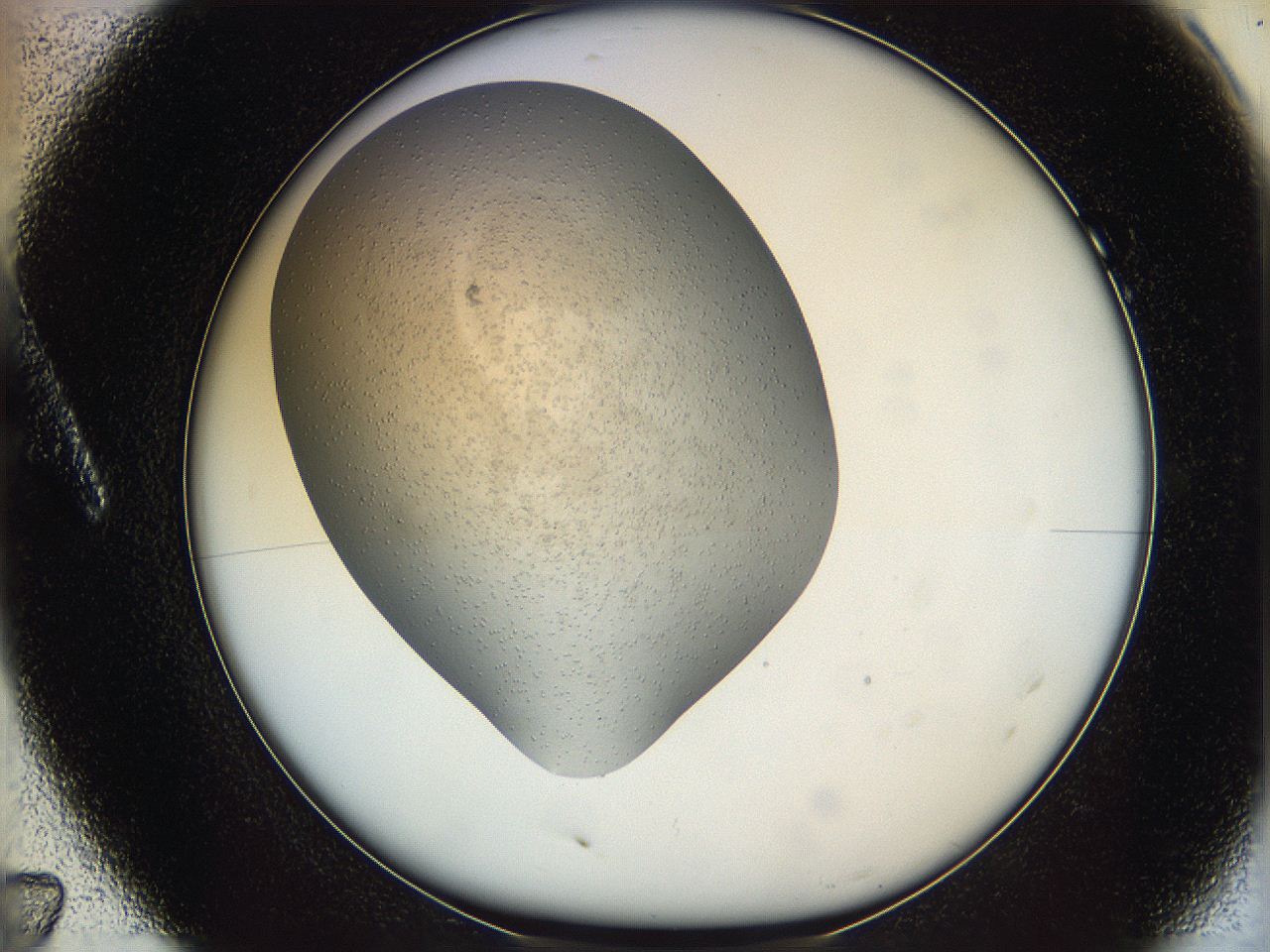 063a_A7_ImagerDefaults_6.jpg
