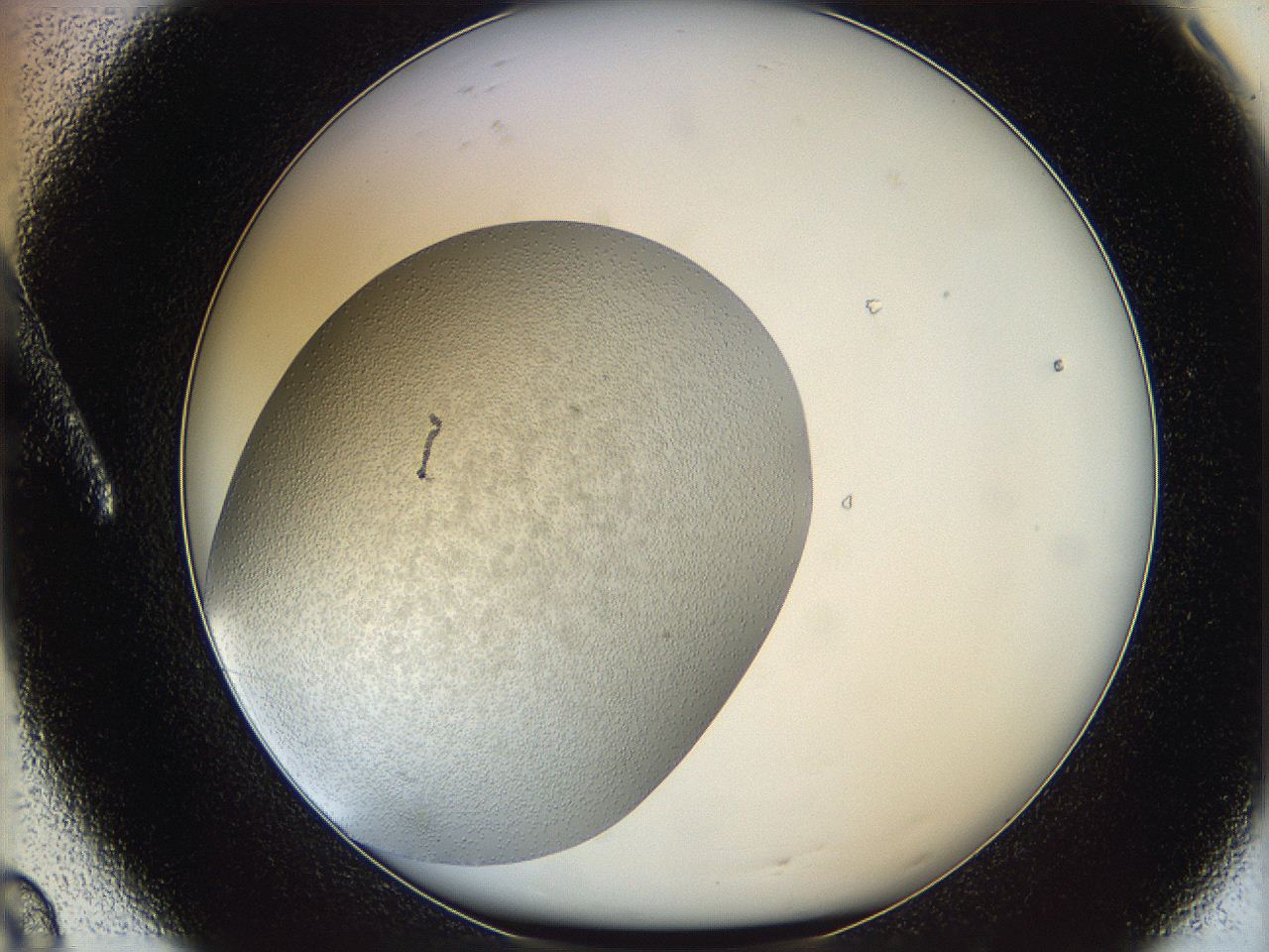 063a_A8_ImagerDefaults_6.jpg